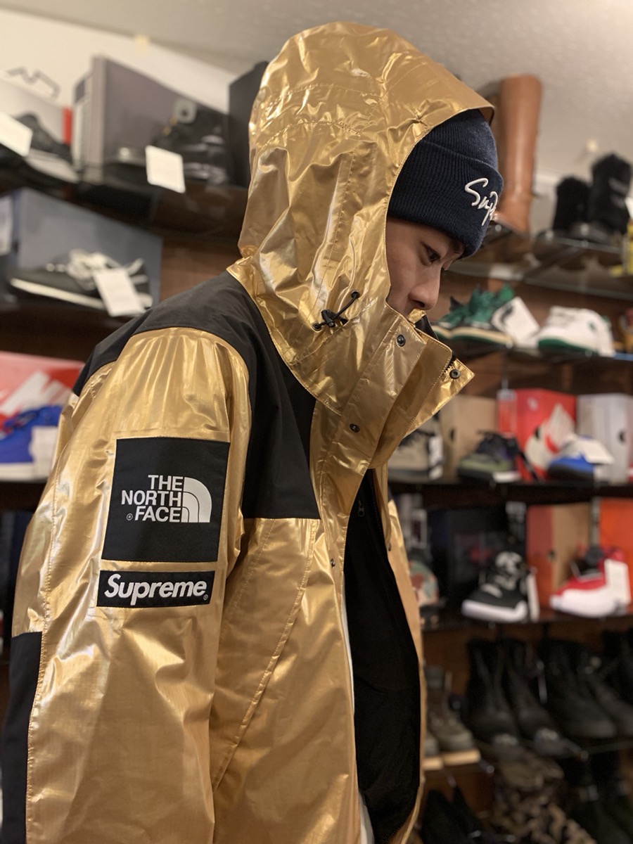 オイルペイント Supreme north face メタリックマウンテンパーカー